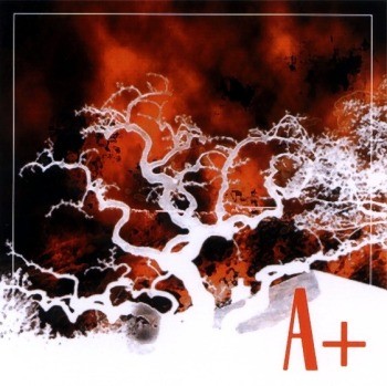 A+