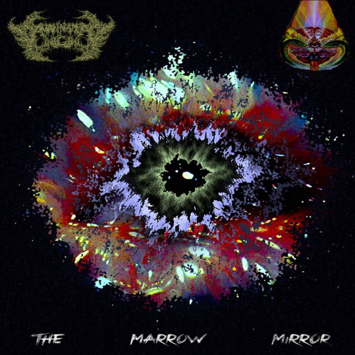 The Marrow Mirror