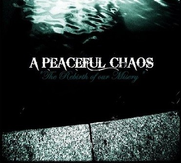 The Rebirth of Our Misery