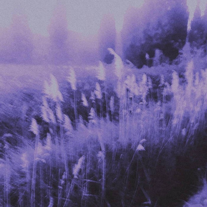 Sky of Fading Lights
