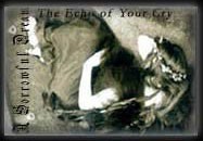 The Echo of Your Cry