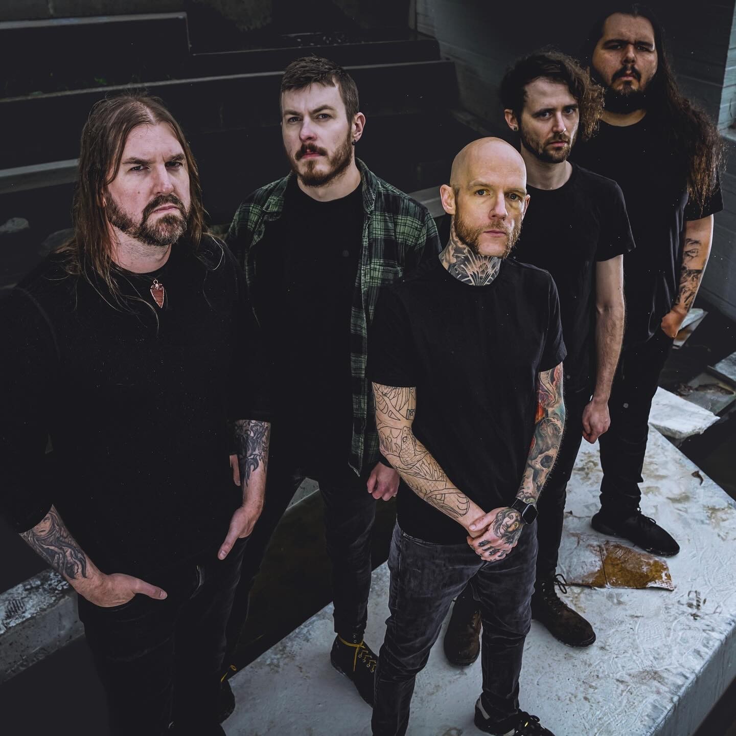 Allegaeon