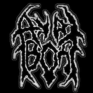 Anal Abort