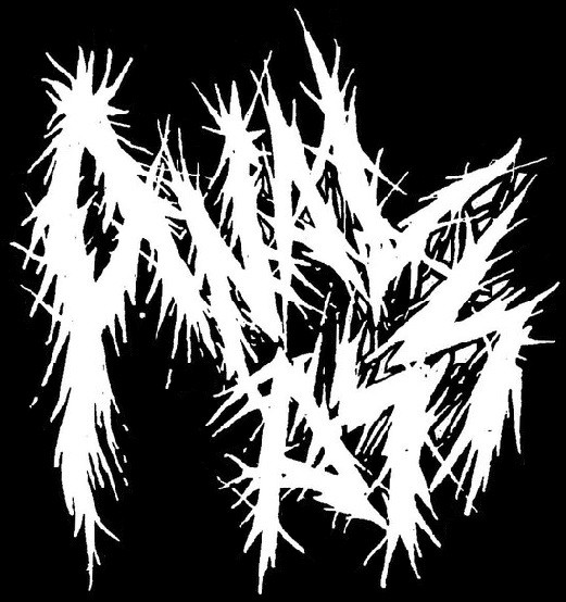 Anal Ass