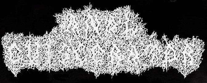 Anal Eviscerator