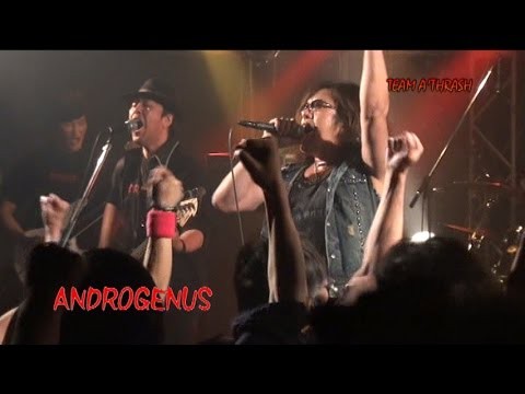 Androgenus