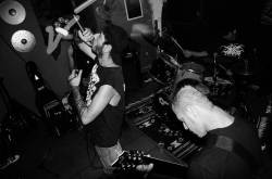 Angoracoid