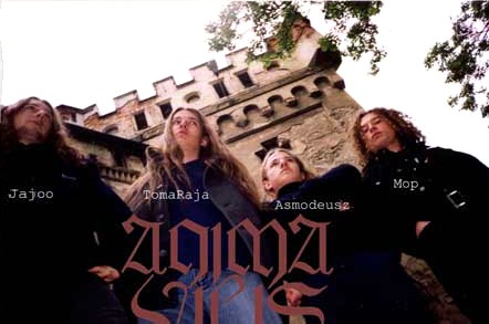 Anima Vilis