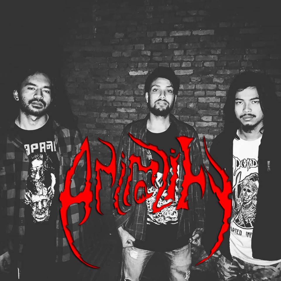 Animality