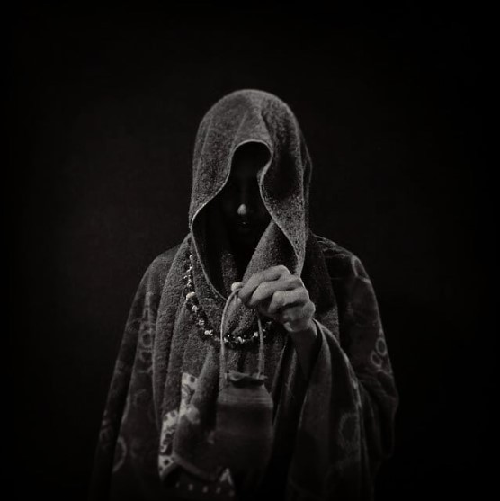 Antrodemus