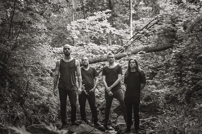 The Animist